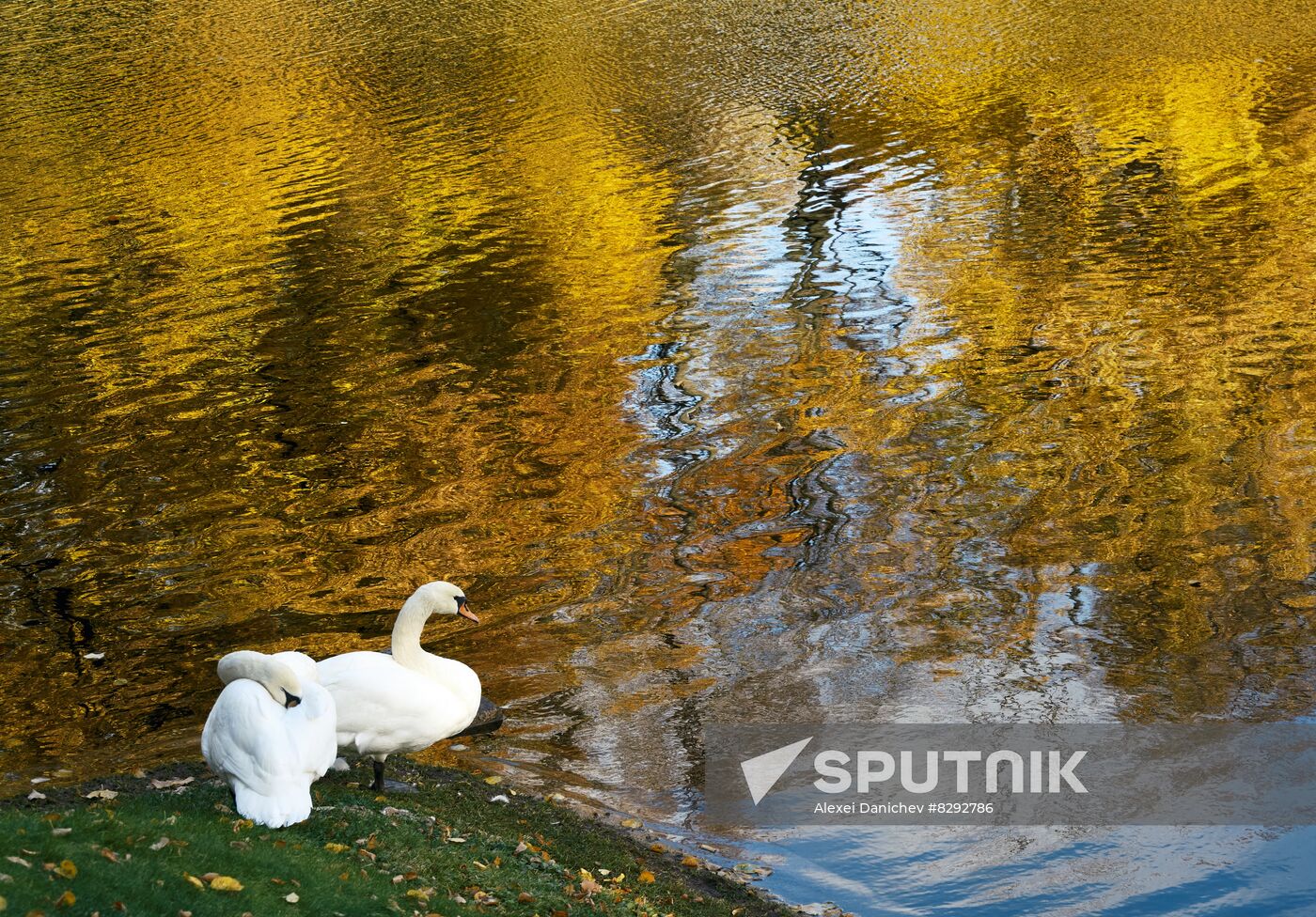 Donskoi Monastery Necropolis