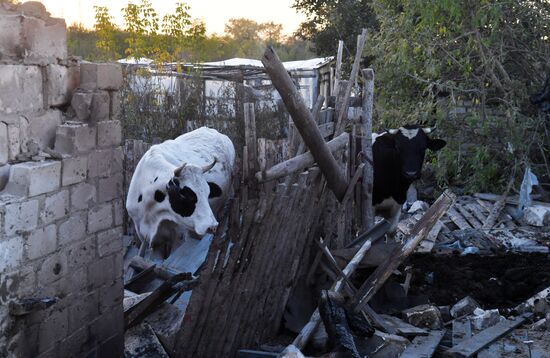 Russia Ukraine Military Operation Shelling
