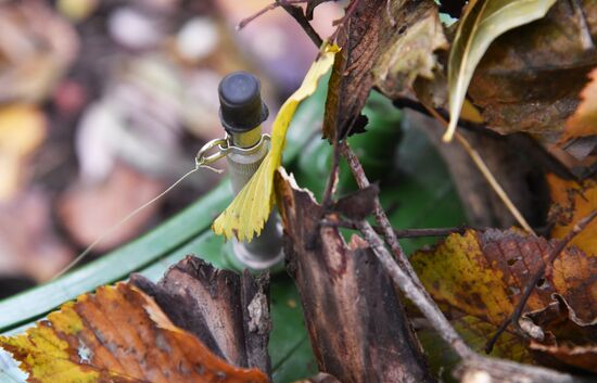 Russia Ukraine Military Operation Wagner Group Sappers