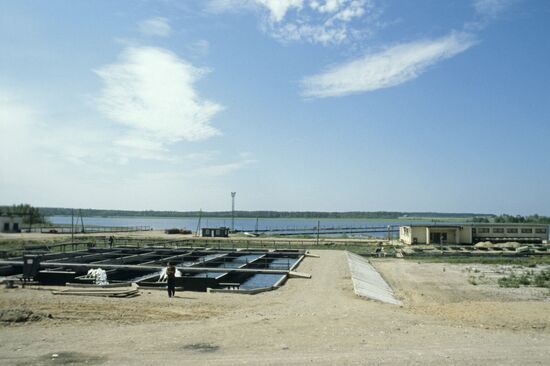 Banga fish farm in Latvia