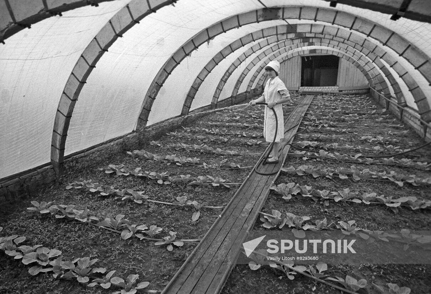 Desna experimental facility