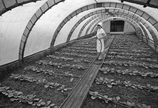 Desna experimental facility