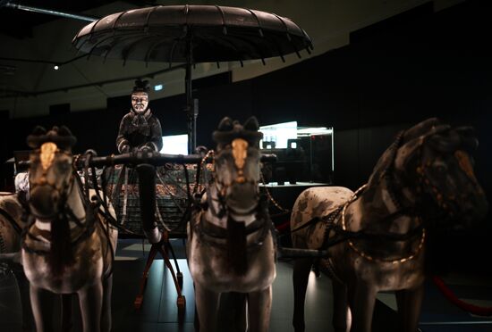 Russia Terracotta Warriors Exhibition