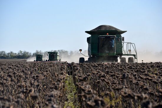 Russia Ukraine Military Operation Harvesting