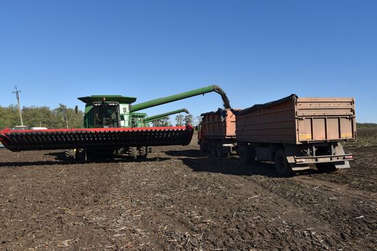 Russia Ukraine Military Operation Harvesting