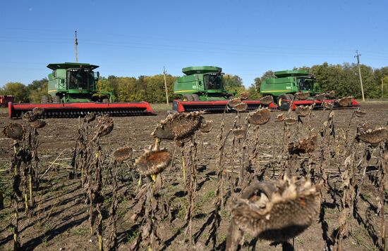 Russia Ukraine Military Operation Harvesting