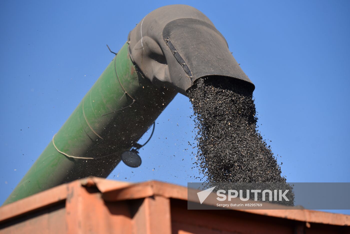 Russia Ukraine Military Operation Harvesting