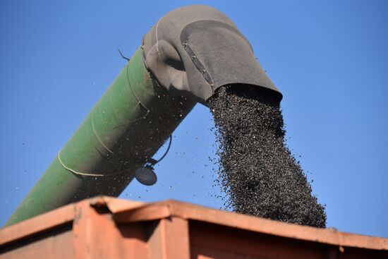 Russia Ukraine Military Operation Harvesting