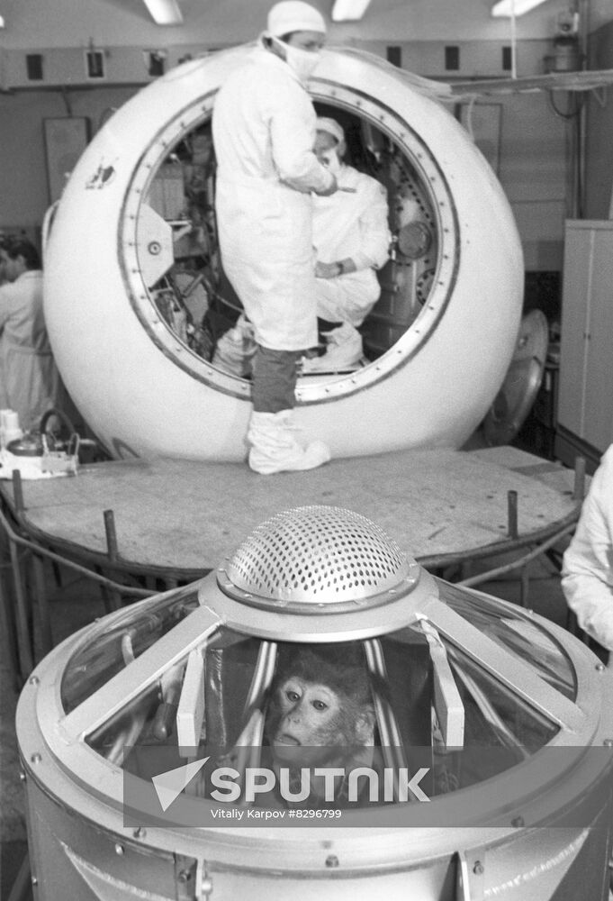 Preparing primates for space flight