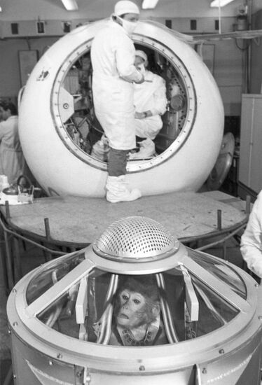Preparing primates for space flight