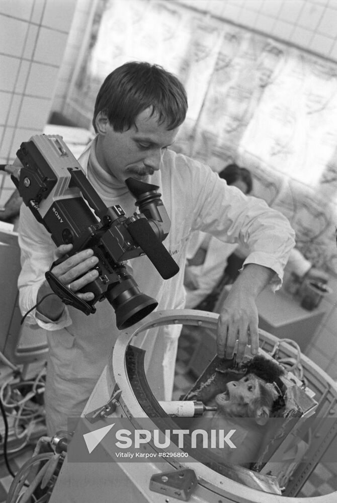 Preparing primates for space flight
