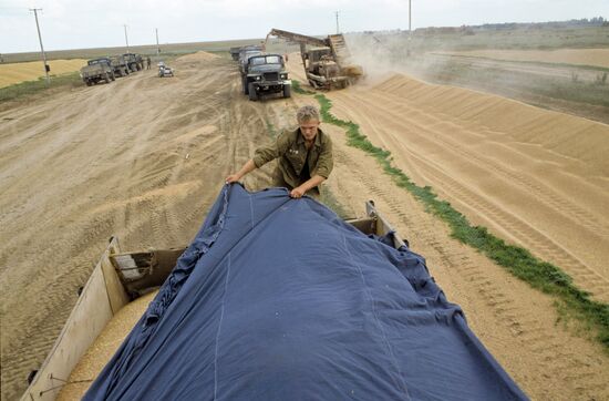 Chapayev Collective Farm in Volgograd Region
