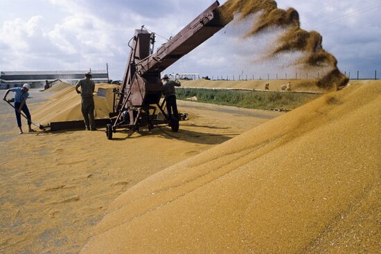Chapayev Collective Farm in Volgograd Region