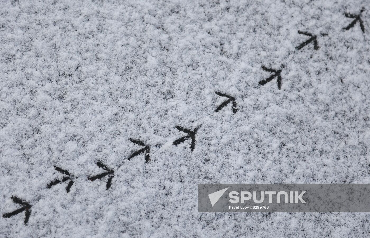 Russia Weather