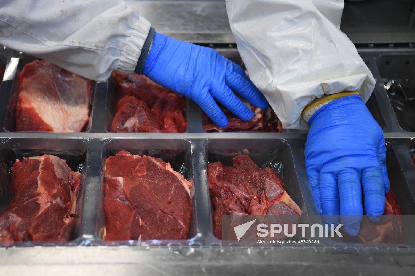 Russia Food Industry