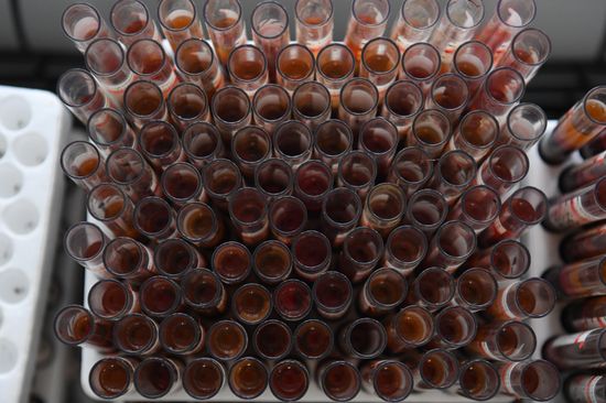 Russia Food Industry
