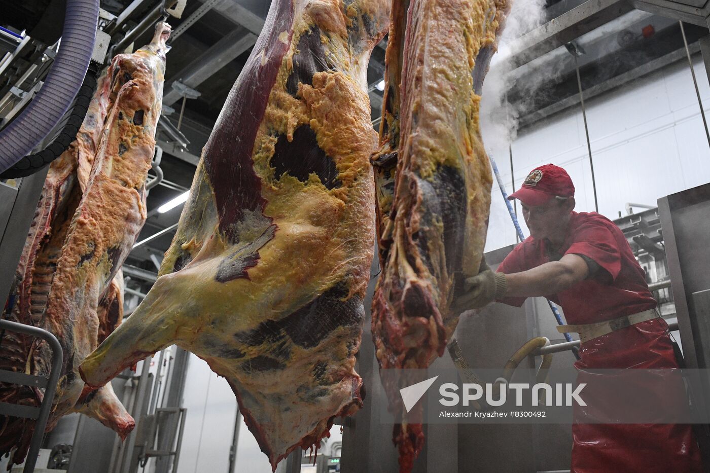Russia Food Industry