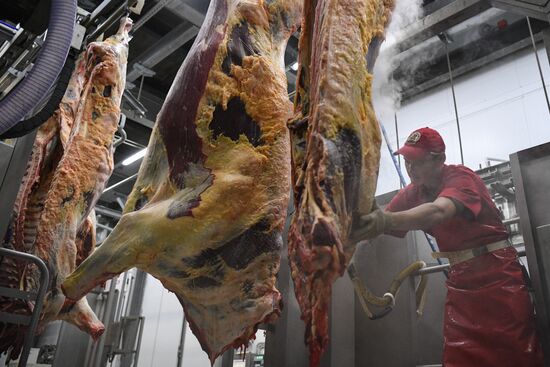 Russia Food Industry