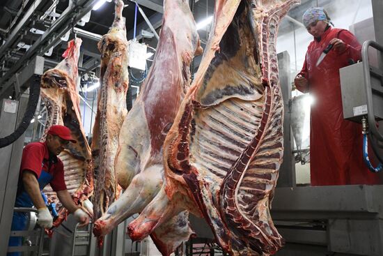 Russia Food Industry