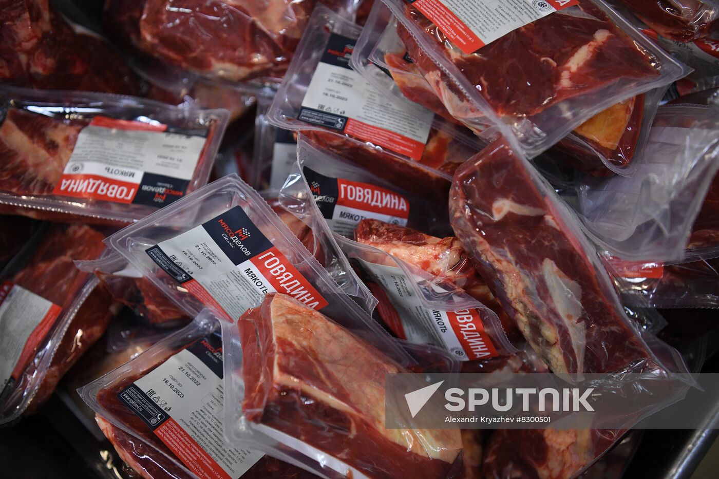 Russia Food Industry