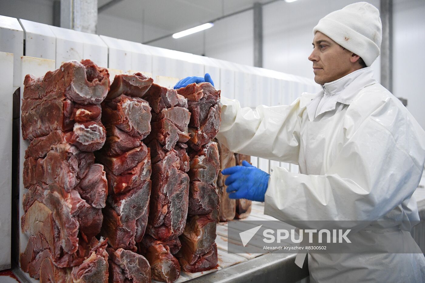 Russia Food Industry