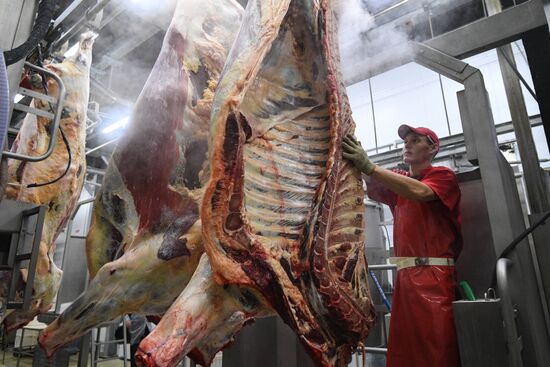 Russia Food Industry