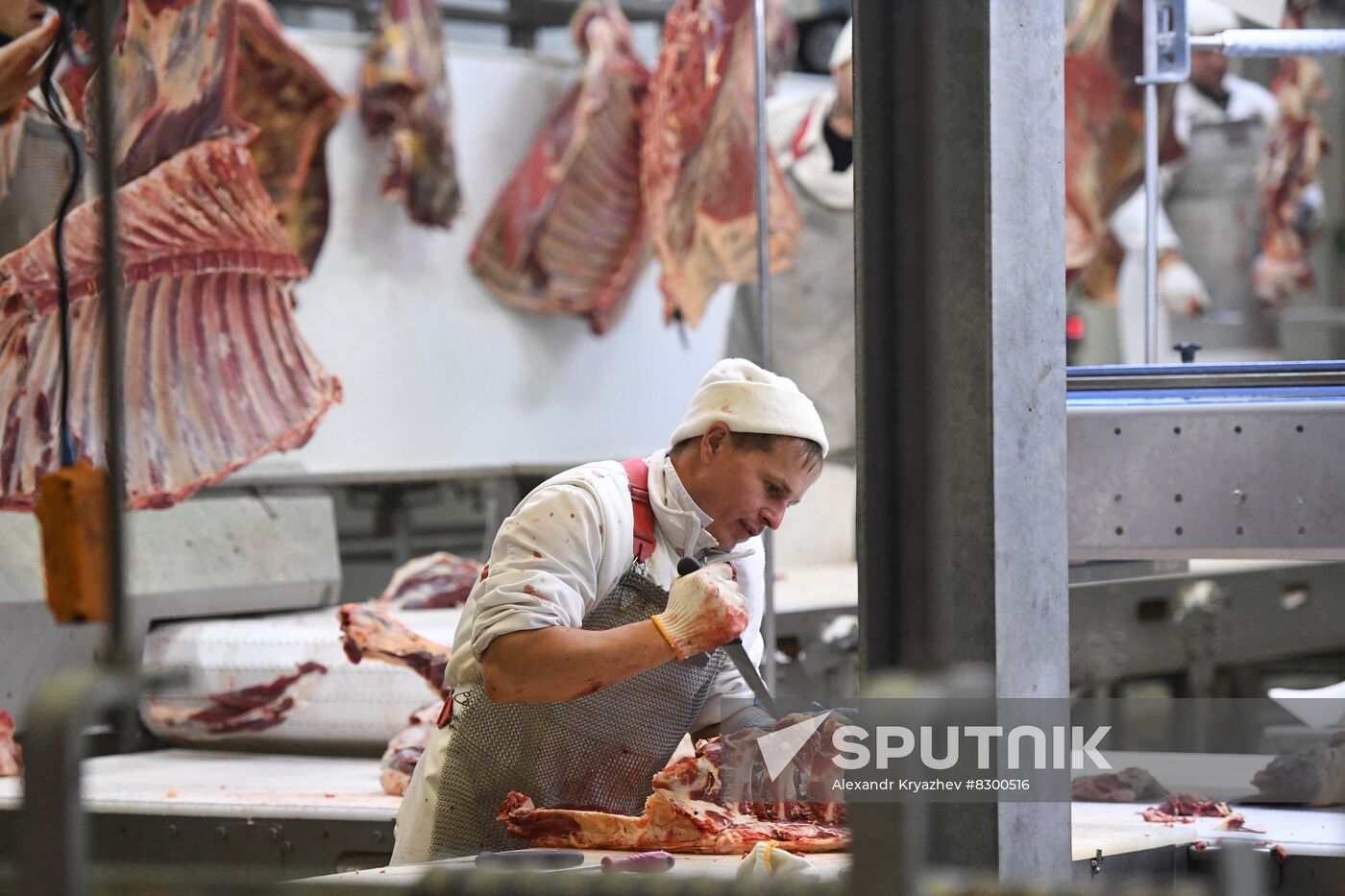 Russia Food Industry