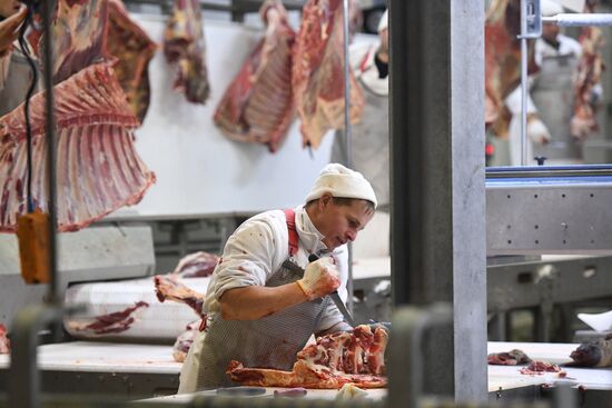 Russia Food Industry