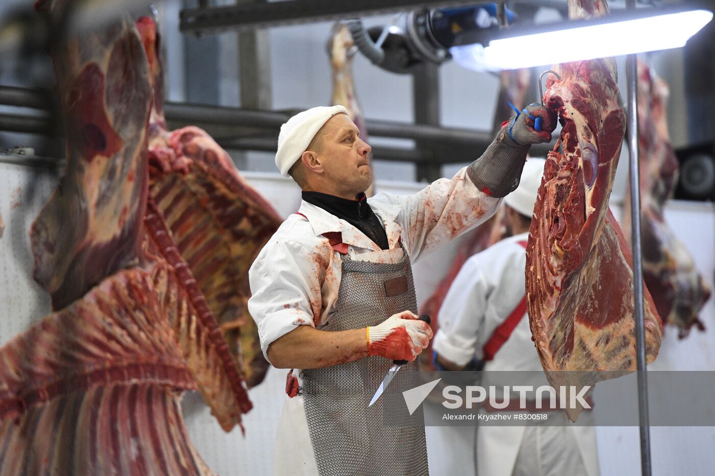 Russia Food Industry