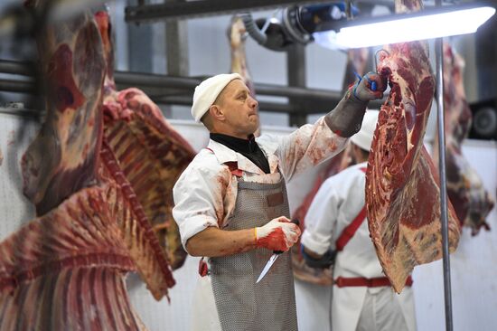 Russia Food Industry