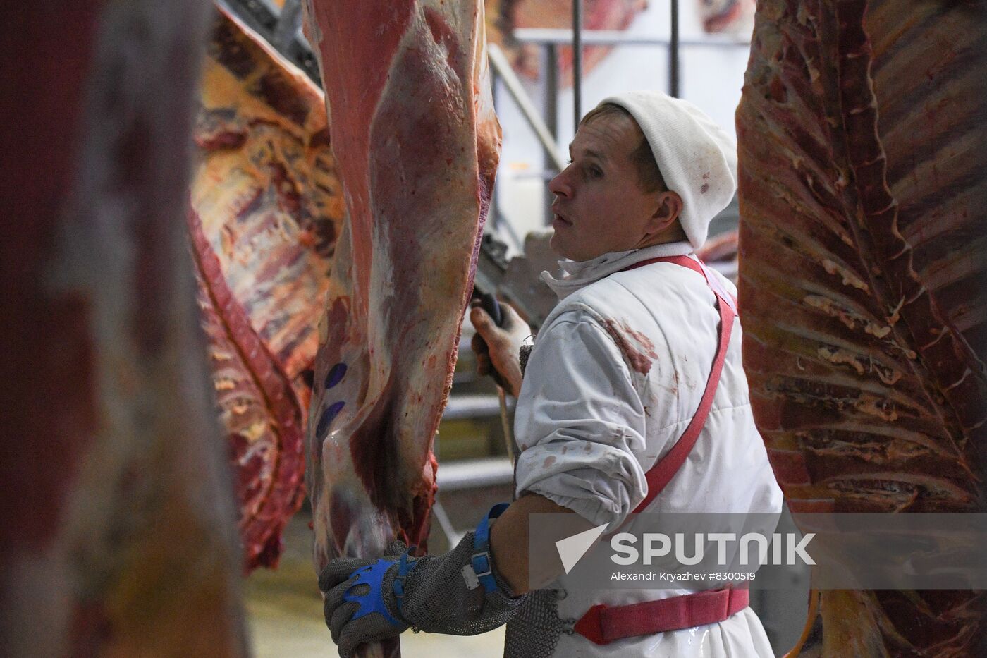 Russia Food Industry