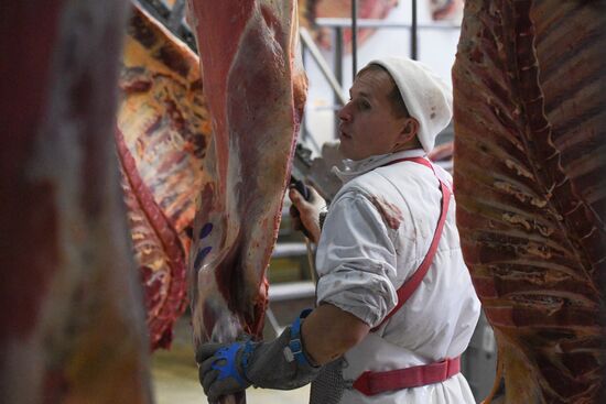 Russia Food Industry