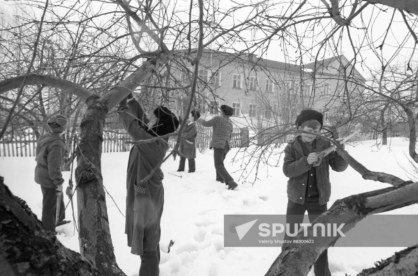 Luch Revolyutsii (Beam of Revolution) Collective Farm in Murayevka village