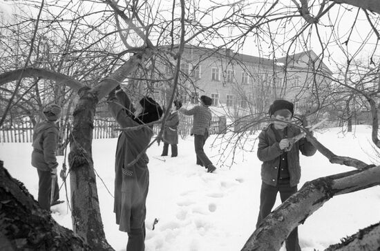 Luch Revolyutsii (Beam of Revolution) Collective Farm in Murayevka village