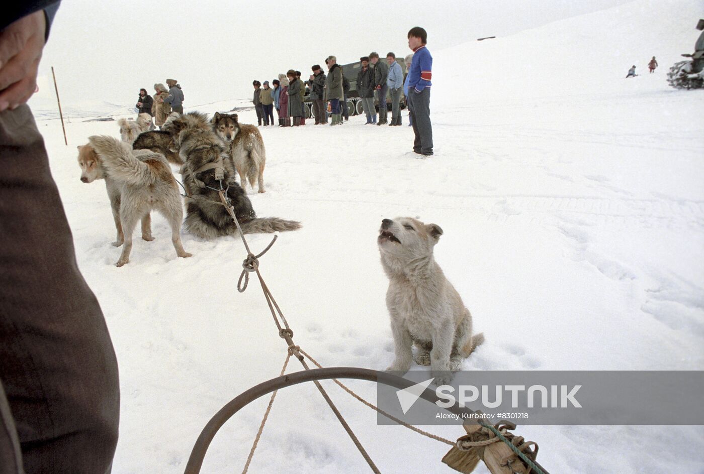 Polar expedition of Soviet Russia newspaper