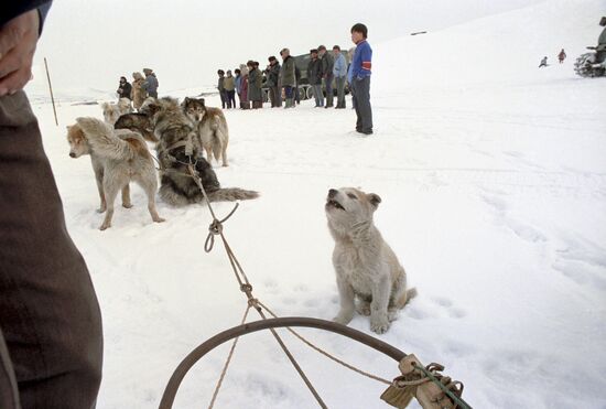 Polar expedition of Soviet Russia newspaper