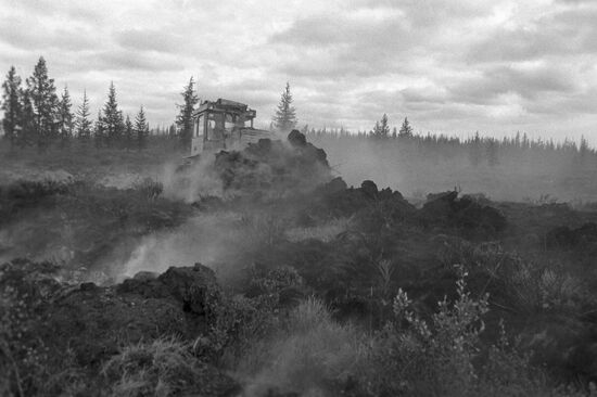 Taiga wildfire
