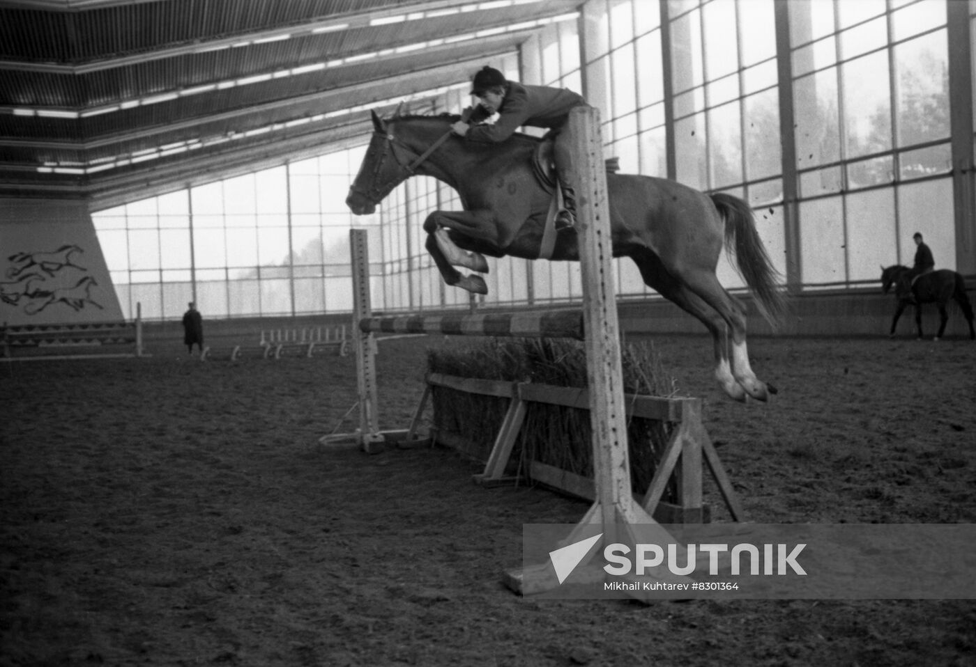 Moscow Horse-Breeding Plant