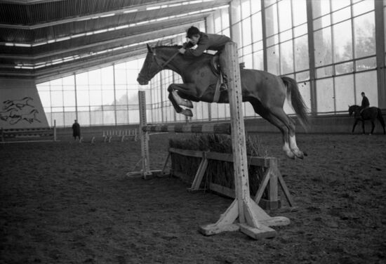 Moscow Horse-Breeding Plant