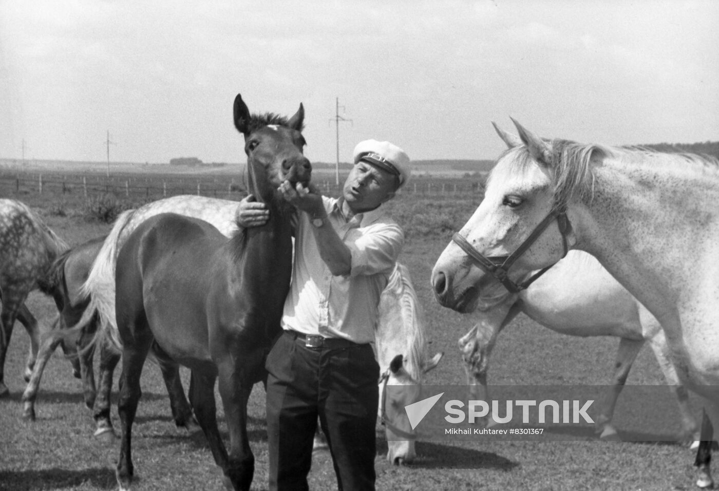 Moscow Horse-Breeding Plant