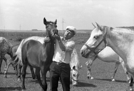 Moscow Horse-Breeding Plant