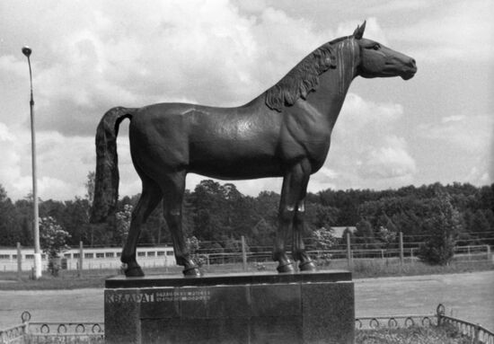 Moscow stud farm