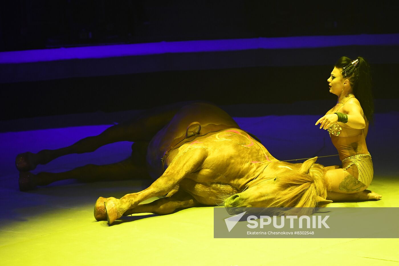 Russia Circus Art Festival