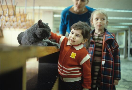 All-Union Cat Exhibition