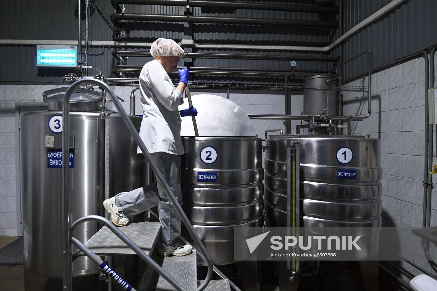 Russia Economy Beverage Production