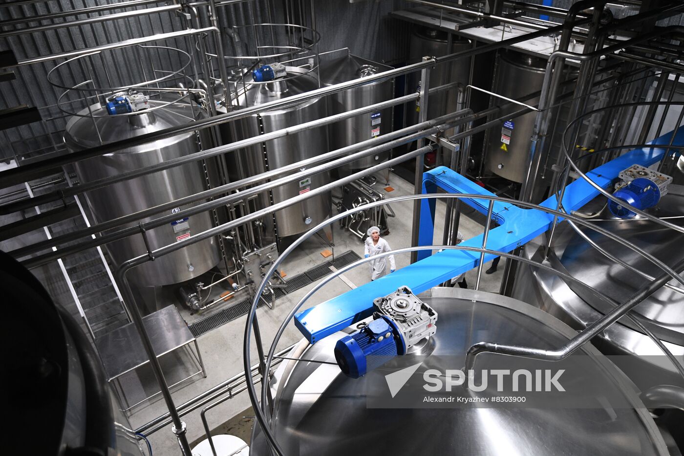 Russia Economy Beverage Production