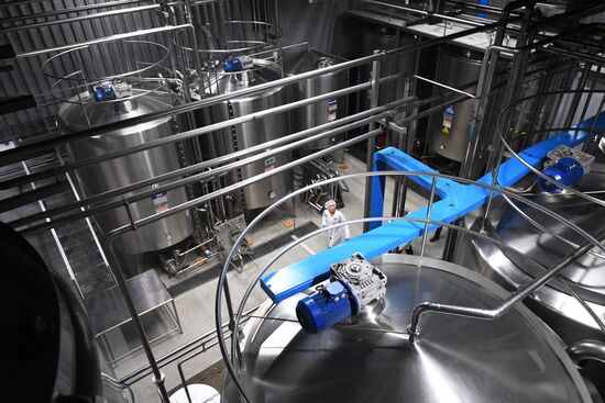 Russia Economy Beverage Production