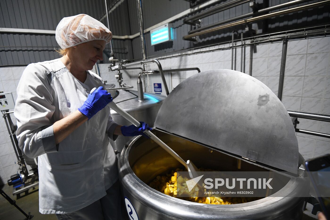 Russia Economy Beverage Production
