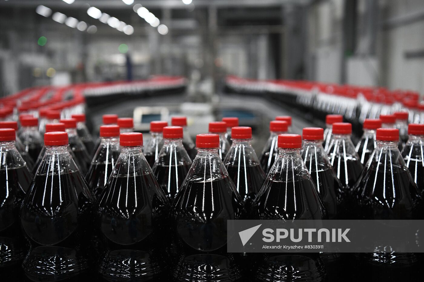 Russia Economy Beverage Production