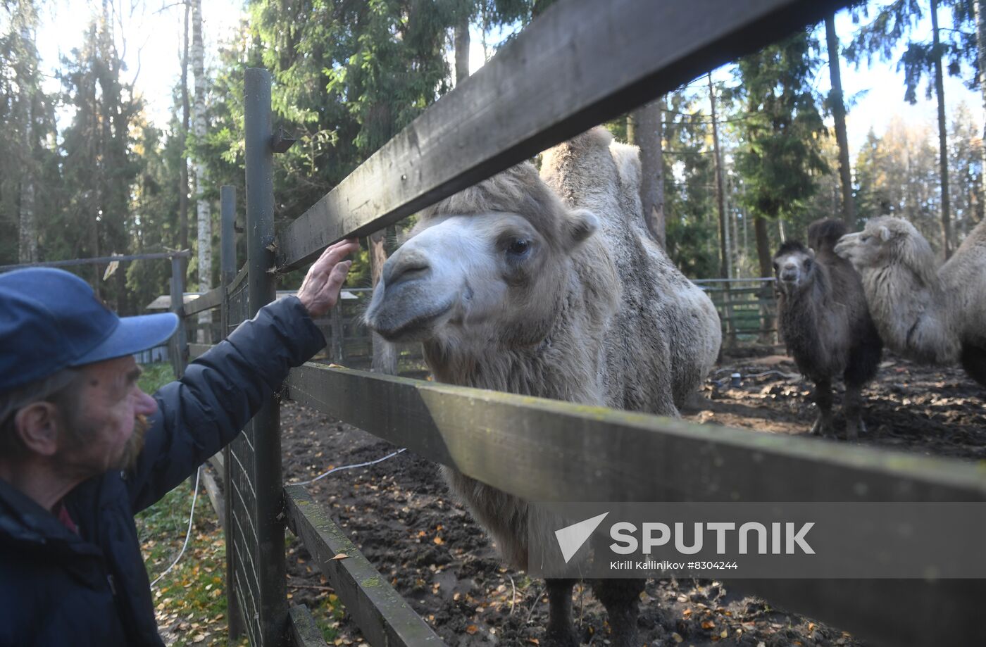 Russia Animals Rehabilitation Centre